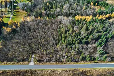 Beautiful over three acre building lot on lovely Old North Road in the North end of Huntsville. Driv...