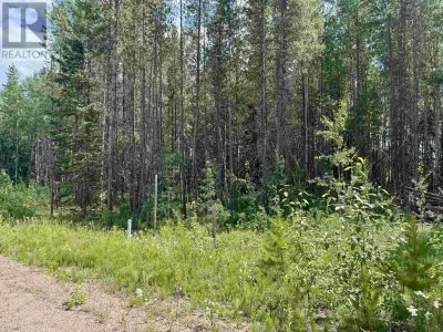 Great price on this huge lot on the edge of town. Just under half an acre gives so much room to buil...