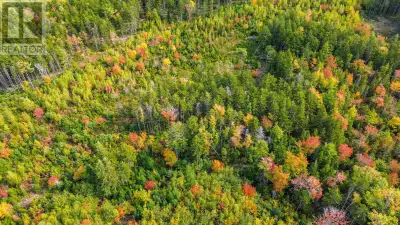 Located in rural West Hants, Lot MC-4 is the perfect place to plant roots and build your future new...