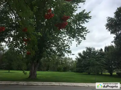 Magnifique terrain prêt à bâtir dans le quartier patrimonial d'Isle Maligne. Unique terrain disponib...