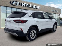 PREVIOUS DAILY RENTAL The 2024 Ford Escape Active is the versatile daily driver designed for the way... (image 4)