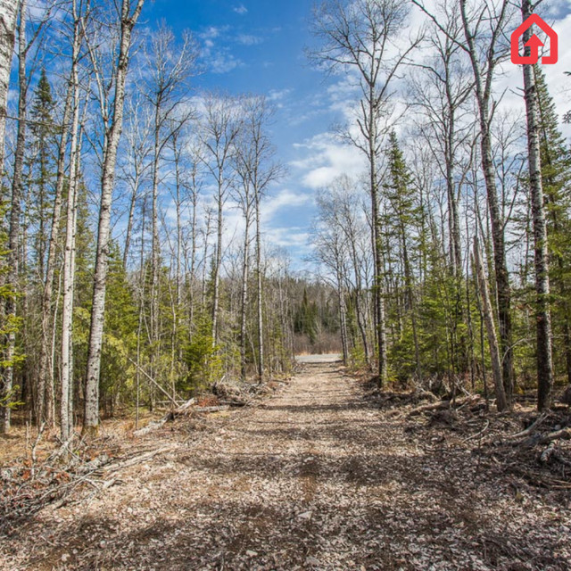 Gordon Lake Road at Carter Side Road, Johnson Township in Land for Sale in Sault Ste. Marie - Image 3