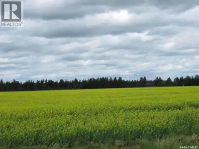 Youkan Developments Subdivision has residential lots available 1 mile East of Nipawin. The convenien...