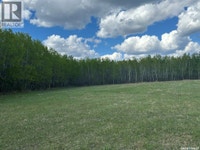 2 Kopp DRIVE Mervin Rm No.499, Saskatchewan Prince Albert Saskatchewan Preview