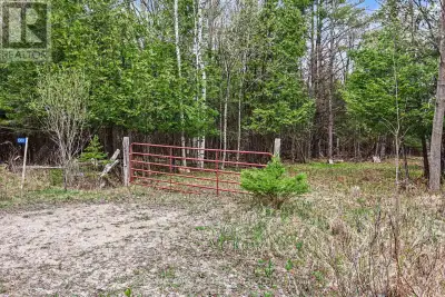 Private 22-acre vacant land parcel with driveway already installed and a previously cleared building...