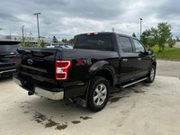 This Ford F-150 delivers a Regular Unleaded V8 5.0 L engine powering this Automatic transmission. EN... (image 6)