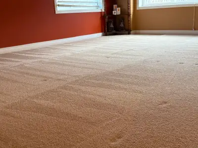 Residential Carpet Cleaning, View more