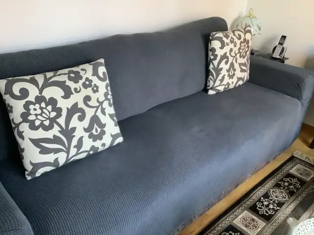 Loveseat/Sofabed