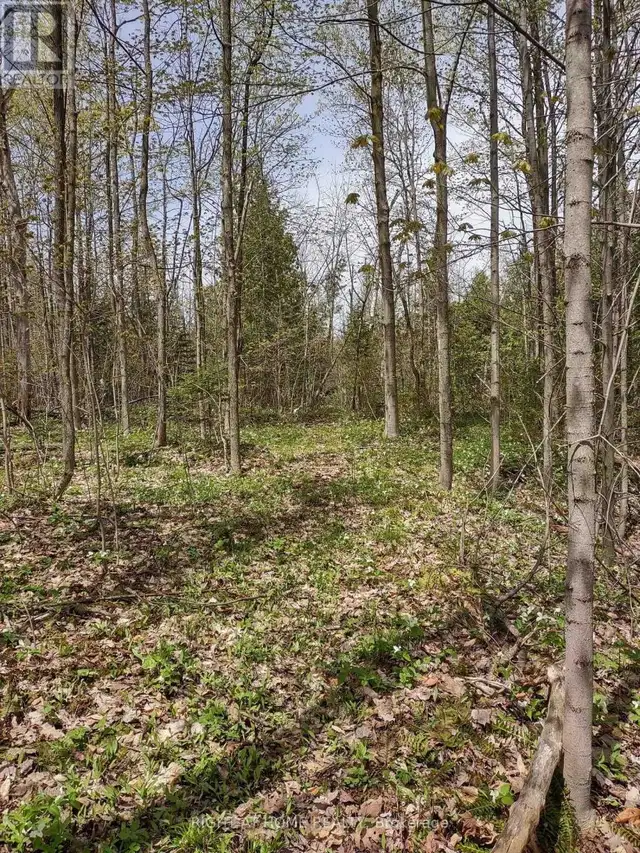 PTL 26 & PTL 27, CON 7, ORO Oro-Medonte, Ontario in Land for Sale in Barrie - Image 24