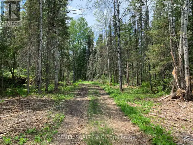 8625 KAMISKOTIA ROAD Timmins (MTJ - Kamiskotia), Ontario in Land for Sale in Timmins - Image 3