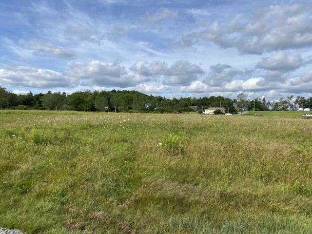West River: Large lot just minutes from town! in Land for Sale in New Glasgow - Image 3