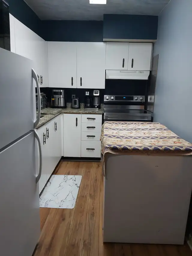 Student home. Centretown. August reduced rental. No extra fees in Room Rentals & Roommates in Ottawa - Image 3