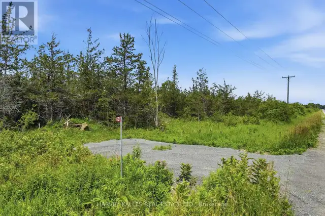 685 COUNTY 8 ROAD Prince Edward County (Hallowell), Ontario in Land for Sale in Belleville - Image 15