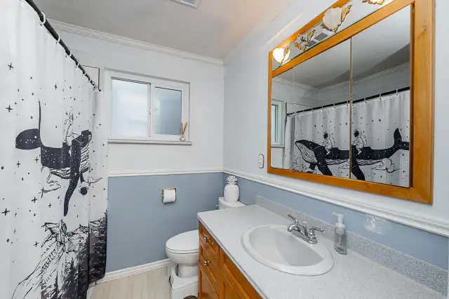 32986 4TH AVENUE Mission, British Columbia in Houses for Sale in Mission - Image 15