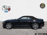 Rose City Ford | Accident Free | Convertible | 10-Speed Transmission | Engine Block Heated | Back Up... (image 2)