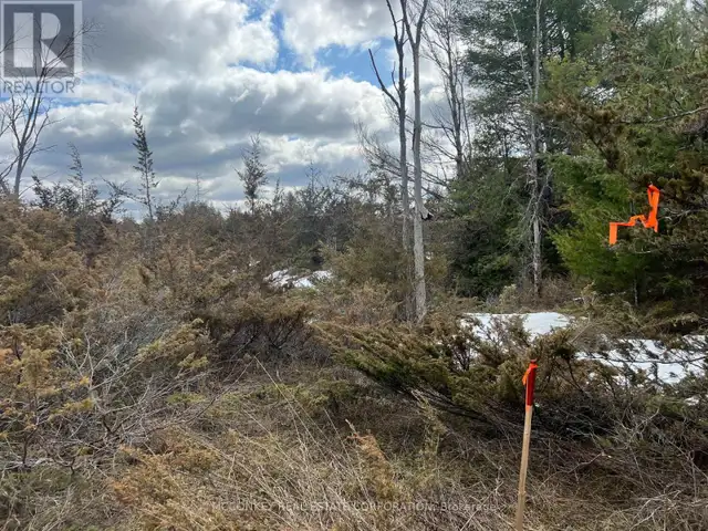 00 N. DUMMER 7TH LINE ROAD Douro-Dummer, Ontario in Land for Sale in Peterborough - Image 17