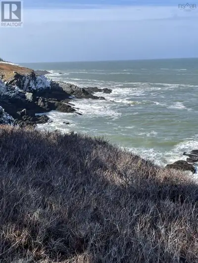 The ultimate OCEAN FRONT off grid LIVING!!! Build your dream home near these dramatic west facing cl...