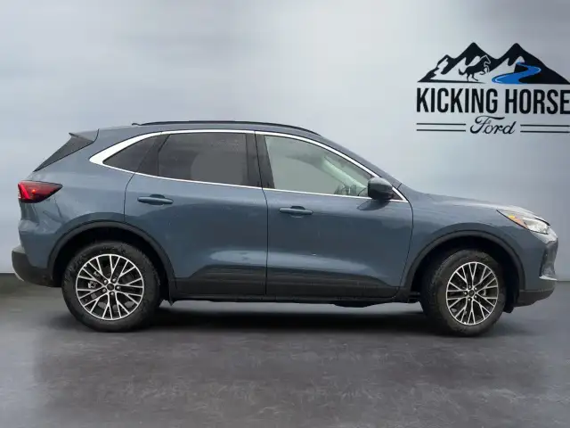 2025 Ford Escape in Cars & Trucks in Revelstoke - Image 5