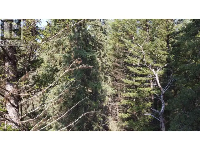 LOT B BRYCE ROAD Forest Grove, British Columbia in Land for Sale in 100 Mile House - Image 18