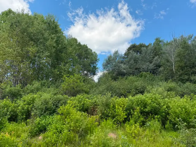 1-Acre Building Lot for Sale – Blackville, NB