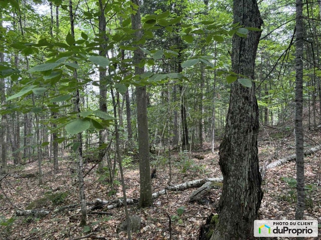 $135,000 - Price taxes not included - Residential Lot for sale — photo 2