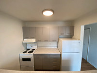 Newly Renovated 2-Bedroom Unit with On-Site Laundry and Parking