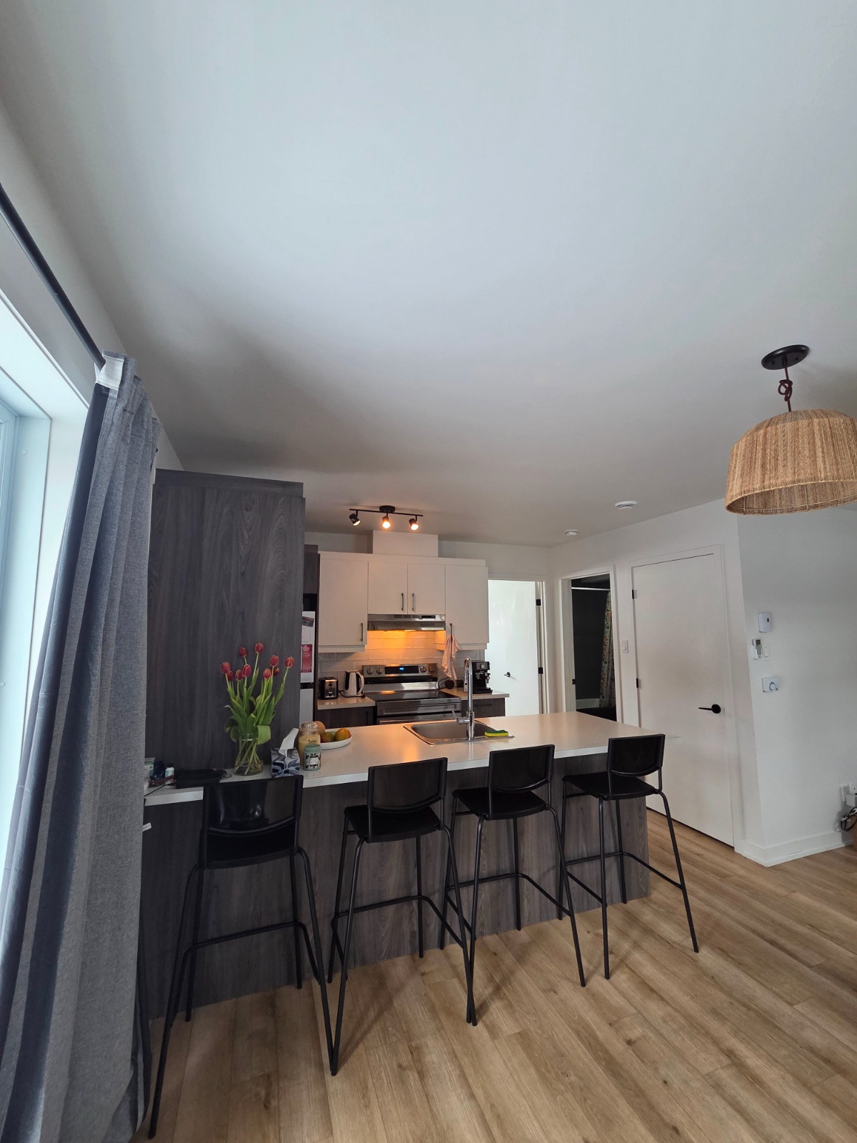 Appartement à louer animaux acceptés — photo 2