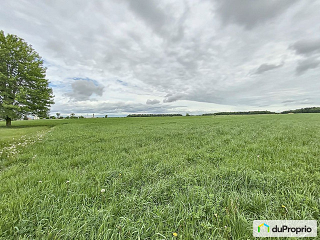 750 000$ - Terre agricole à vendre à St-Gerard-Majella dans Terrains à vendre  à Saint-Hyacinthe - Image 4