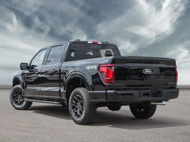 2025 Ford F-150 XLT in Cars & Trucks in Winnipeg - Image 4