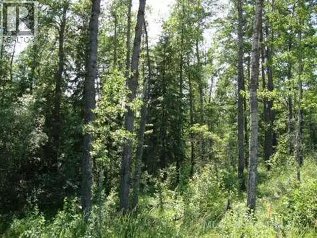 Lot 3 Blk 5 LAKESIDE Drive Perch Lake, Saskatchewan in Land for Sale in Prince Albert - Image 3