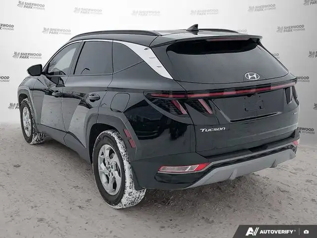 2024 Hyundai Tucson Trend | AWD | Panoramic Sunroof in Cars & Trucks in Edmonton - Image 5