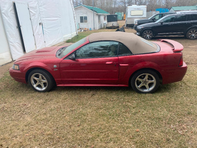 2003  MUSTANG CONVERTIBLE 5 SPD LOW KM LIKE NEW