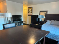 University/downtown fully furnished studios Parklane Apartments