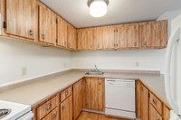 Feel like royalty at King’s Alley Apartments. Nestled in the heart of Calgary, our comfortably desig... (image 3)
