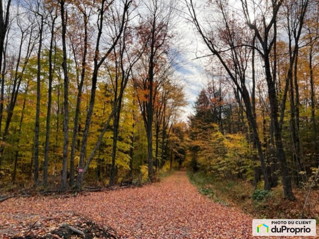 529 000$ - Terre à bois à vendre à St-Amable dans Terrains à vendre  à Longueuil/Rive Sud - Image 2