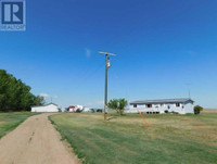 Blue Sign, 164002 B Hwy 36 Rural Newell, County of, Alberta