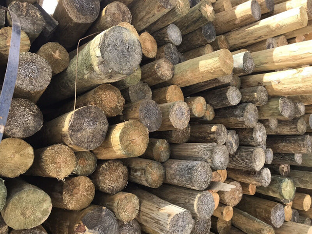 Poteaux de bois traité de 8 pieds (piquets de clôture) dans Autre  à Drummondville - Image 4