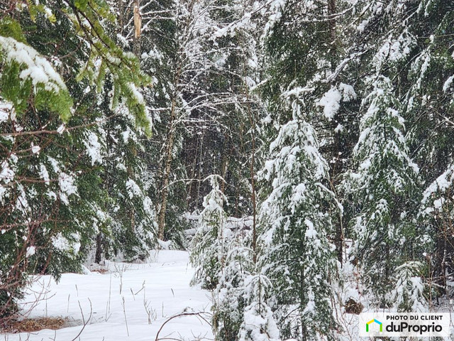 0$ - Prix taxes en sus - Terre à bois à vendre à Milan dans Terrains à vendre  à Sherbrooke