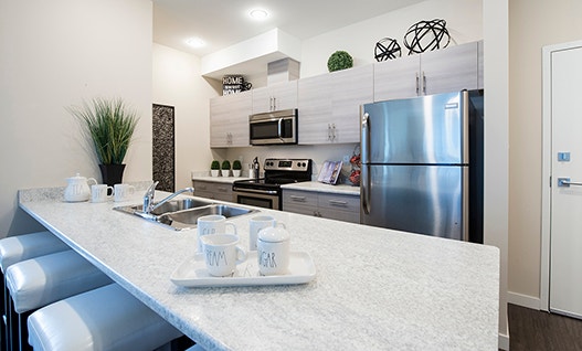 Bachelor suites in Nanaimo at Summerhill Place Apartments! 4