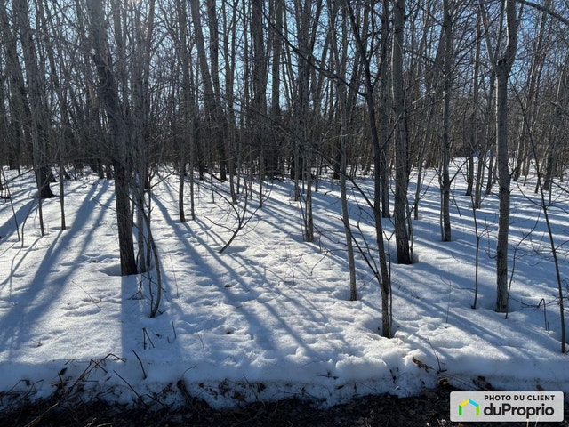 $65,000 - Residential Lot for sale in Shawinigan (Shawinigan) — photo 3