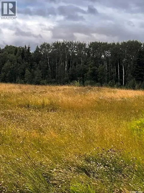 Larsen Ranch Big River Rm No. 555, Saskatchewan in Land for Sale in Meadow Lake - Image 11