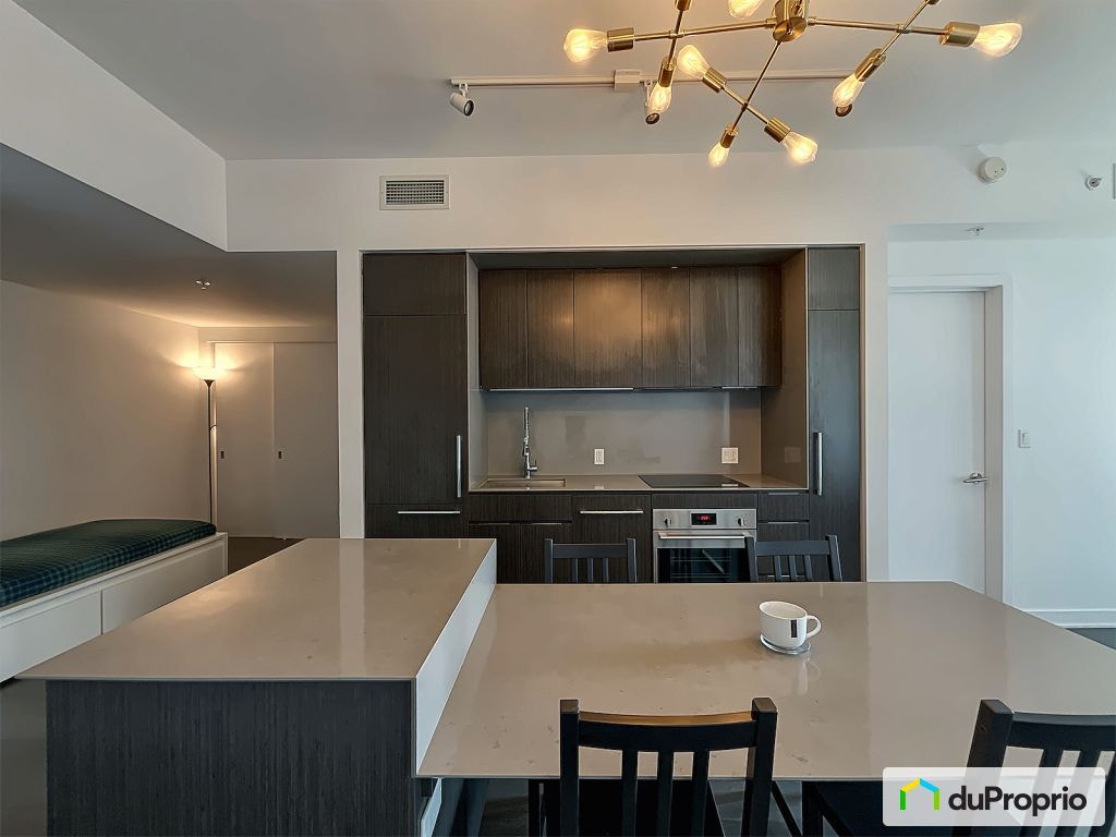 $439,000 - Condominium in Ville-Marie (downtown, old Mtl) — photo 3