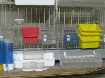 Pet and accessories, View more