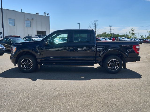 2023 Ford F-150 | Leather Interior | Panoramic Sunroof in Cars & Trucks in Edmonton - Image 2
