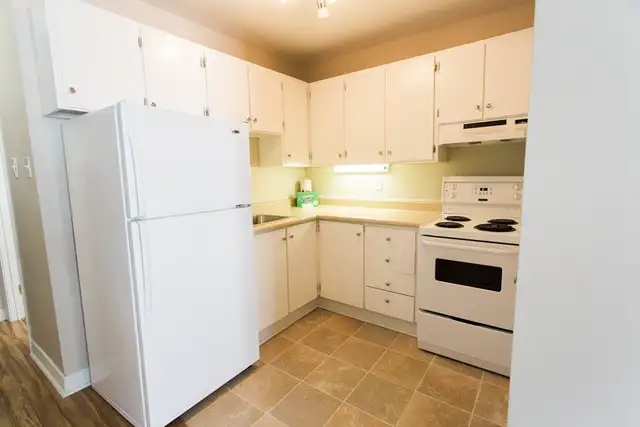 Kelly's Brook - 1 Bedroom 1 Bath Apartment for Rent in Long Term Rentals in St. John's - Image 3