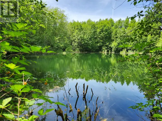 1075 SPIDER LAKE Rd Qualicum Beach, British Columbia in Houses for Sale in Parksville / Qualicum Beach - Image 2
