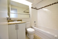 Bachelors, 1 Bath, Air-Conditioned, Recently Renovated Kitchen with Stainless Steel Appliances, Amaz... (image 7)