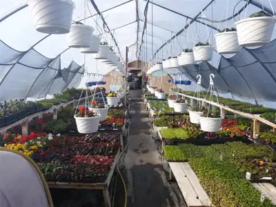 R26//Winnipeg Beach/Looking for a Turn-Key and Profitable Garden Center? This Winnipeg Beach Garden...