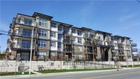 Current Promotions 1 month free rent! Each suite includes a stainless-steel fridge, stove, dishwashe... (image 1)