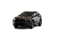 Recent Arrival! 2023 Toyota RAV4 XLE Magnetic Gray AWD, D3-Black Cloth. 2.5L 4-Cylinder DOHC 8-Speed... (image 4)